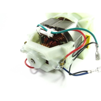 Двигун газонокосарки Forte FEM-1400М у зборі