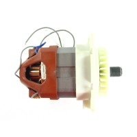 Двигун газонокосарки Vitals Master EZP-321s